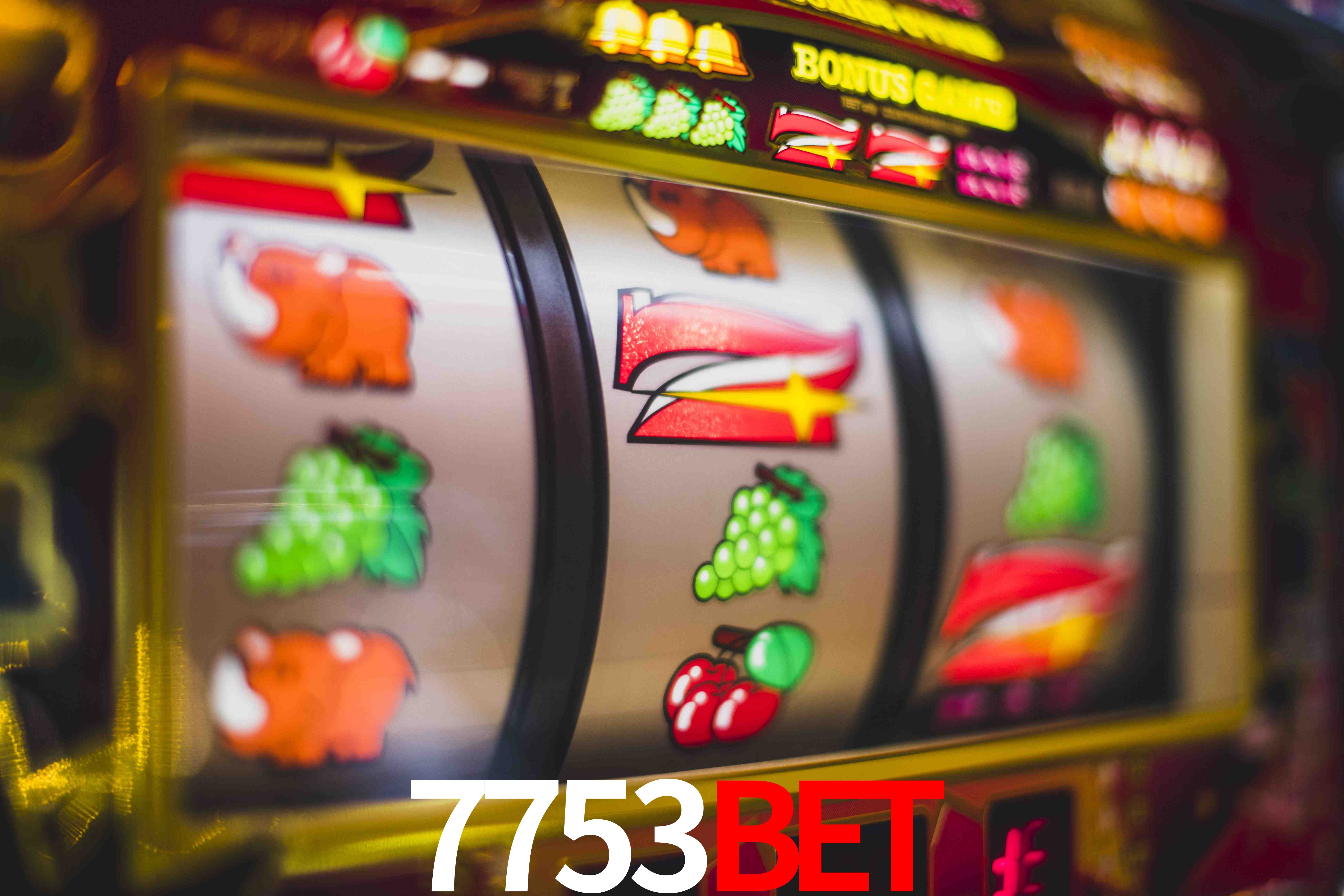 VIP Casino 7753bet